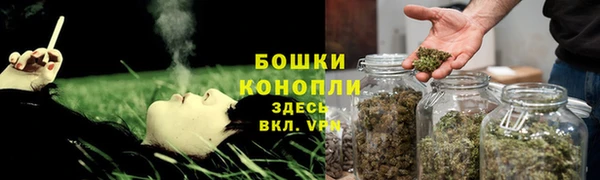 крисы Сясьстрой
