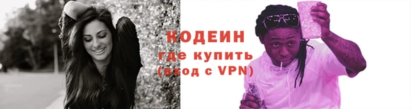 крисы Сясьстрой