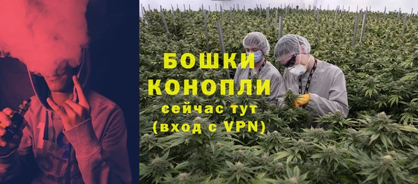 сатива Вязьма